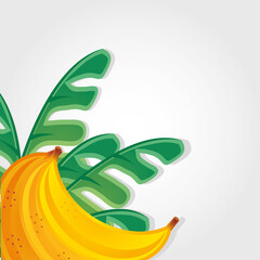 template with summer fruits and symbols of summer