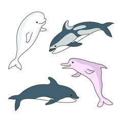 Four Dolphins. Vector drawing cartoon color image. 