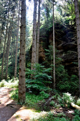 Sächsische Schweiz im Elbsandsteingebirge, Schrammsteine