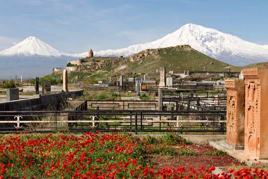 Armenian cross stones known as Khachkar tomb stones with Khor Virap Monastery and Mount Ararat in the background in Armenia