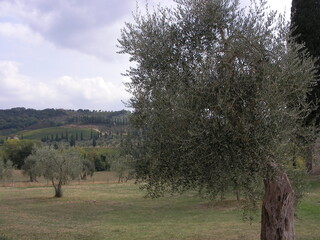 Toskanische Landschaft