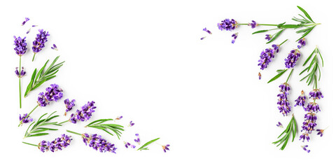 Lavender flowers and leaves creative frame