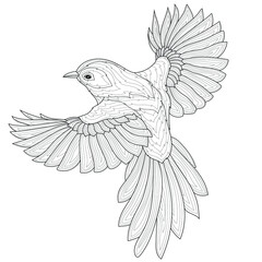 Obraz premium The bird is flying.Coloring book antistress for children and adults. Zen-tangle style.Black and white drawing
