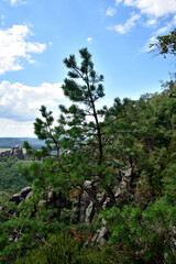 Fototapeta premium Sächsische Schweiz im Elbsandsteingebirge, Schrammsteine