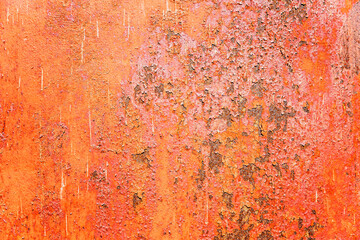Bright orange rusty sheet of iron. Close-up. Background. Space for text.
