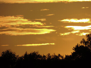 Fototapeta premium sunset over the forest.ragged clouds.