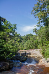 Fototapeta na wymiar Waterfall in the Brazilian Atlantic Forest