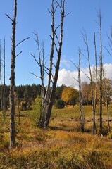 Polska - Mazury - Warmia. Krajobraz.