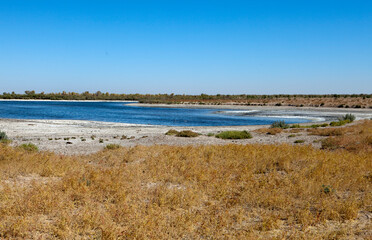 Fototapeta na wymiar Salt lake surrounded by stale grass. Uzbekistan