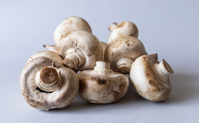 Mushrooms lies on a gray background. Champignons photographed at close range. . High quality photo