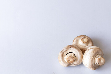 Mushrooms lies on a gray background. Champignons photographed at close range. . High quality photo
