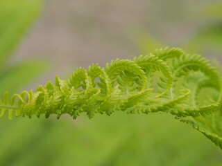 OLYMPUS DIGITAL CAMERA © Olek