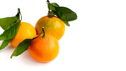 Three tangerines with leaves on a white background, close-up.