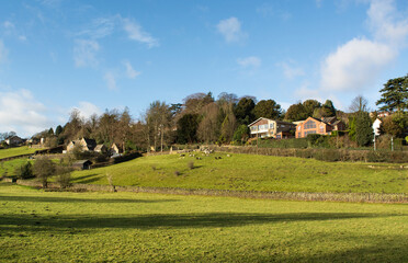 Rural landscape with houses