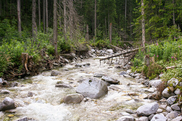 Mountain river landscape. Flowing water in mountain. Tatra Mountains view.