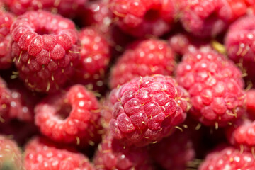 Macro photo of fresh raspberries. Background patern of sweet red raspberries.