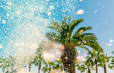 Palm trees with bubbles and defocused soap foam from pool party blower against blue sky backdrop. Summer holidays, vacation background, fun sports, family travel, tourism concept.