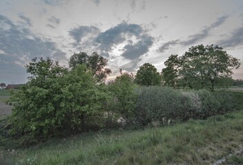 Obraz premium Zachód słońca Siedlce k.Oławy dolnośląskie Polska 