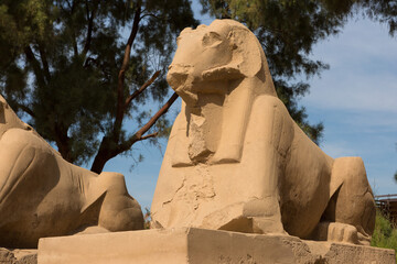 Fragment of the alley of the Sphinxes in the Karnak Temple, Luxor, Egypt.