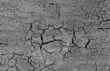 Gray cracked textured background.