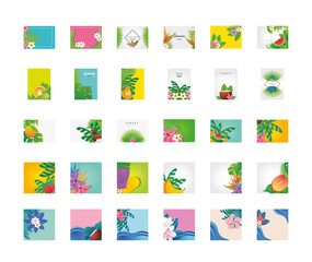 set of templates summer with flowers, fruits and symbols of summer