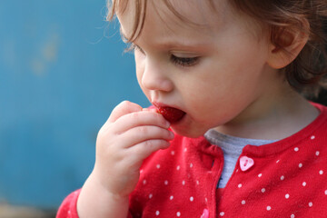 little child in a red sweater with beautiful eyes and a dirty mouth eats strawberries