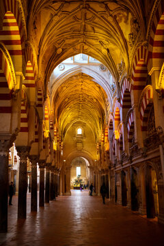 Mezquita de C&oacute;rdoba la Mosqu&eacute;e-cath&eacute;drale de Cordoue