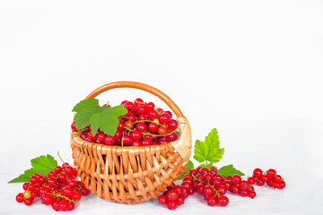 red ripe currants in a wicker basket on a white background close-up. background with ripe currant close-up.