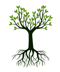 Green Spring Tree and Root. Vector outline Illustration. Plant in garden. EPS file