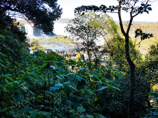 waterfall iguaçu national park parana brazil nature
cascata, molhar, natureza, paisagem, fluvial, cascata, arborizar, córrego, verde, rocha, queda, cair, natural, fluindo, parque, viagem,