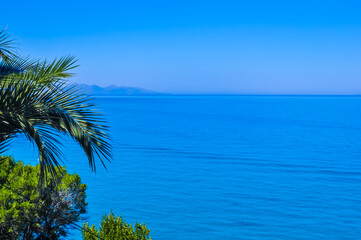 Trees and palm tree on blue sea background with island view, background for postcard, copy space