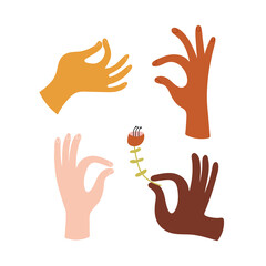 Different skin colors hands isolated on a white background. Vector set of four multiethnic hands. Flower in hand. Flat illustration drawn by hand for icons, label, logo, stickers, posters.