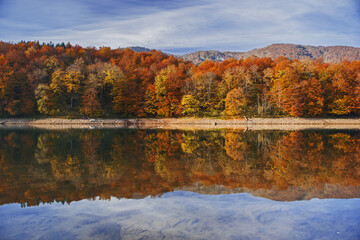 Autumn forest with reflection on Biogradsko lake in Montenegro