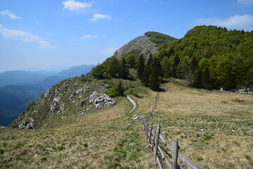 Fototapeta na wymiar Friuli - Monte Cuar