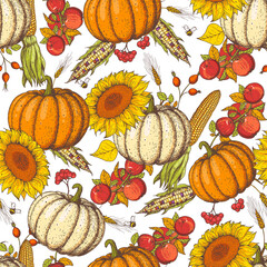 Cool design with sunflower, corn, apples and pumpkin. Pumpkin and autumn harvest seamless pattern. Hand drawn background. Colorful vector illustration.
