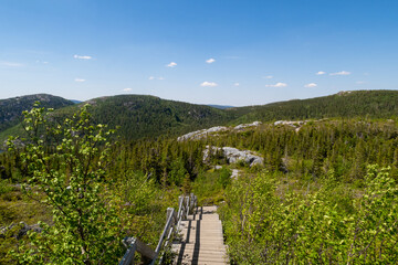 Fototapeta premium Beautiful landscape in the 
