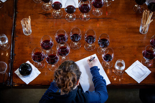 Wine Tasting and Blending