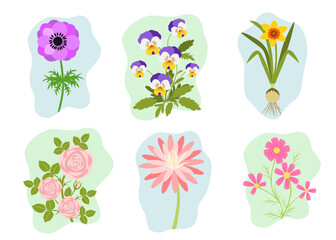 Set of flowers isolated on white. Collection of botanical illustration. Floral elements. Flat design. Anemone, Pansy, Daffodil, Rose, Water lily and Cosmos flower.