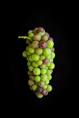 Wine Grapes 