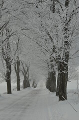 Polska - Mazury - Warmia. Krajobraz.