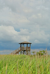 A wooden wildlife observation tower in the wetlands of Isola Della Cona in Friuli-Venezia Giulia, north east Italy
