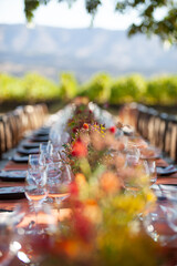 Vineyard Harvest Table