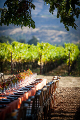 Vineyard Harvest Table
