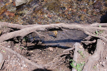 Lake 2