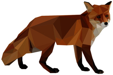 Obraz premium fox low poly vector illustration