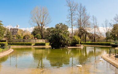 Little lake with ducks in an urban public park, Italy