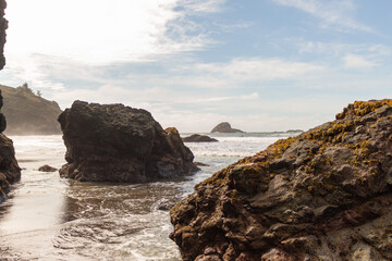 Humbolt County beach