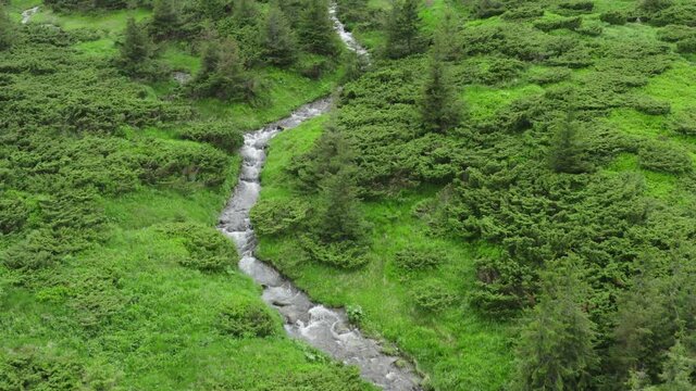 Waterfall mountains nature green wild river water