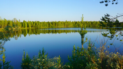 landscape summer river forest in the distance