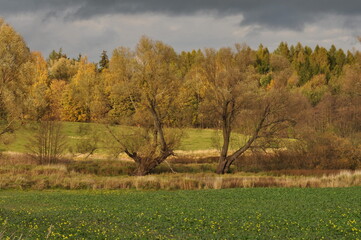 Jesień. Polska - Mazury - Warmia.